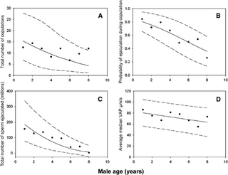 Illustration for article titled Getting old has its sexual privileges - at least for males